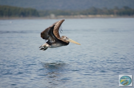 Fotos da pesca esportiva em Chaiten no Chile